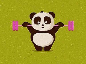 Exotic Animals Puzzle Time Online Puzzle Game