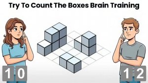 Try To Count The Boxes Brain Training Puzzle Game