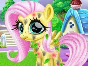 Pegasus Pal: Soothing Animal Care