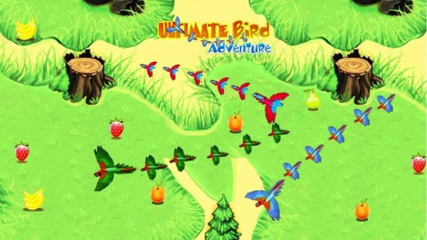 Feather Quest: Calm Bird Puzzles