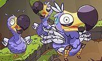 Save The Dodos Puzzle Game