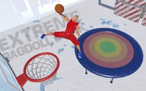 Playful Hoops Physics Challenge