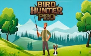 Feathered Focus: Accuracy Challenge