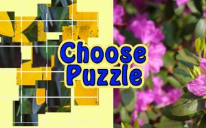 Choose Puzzle: Brain Teaser Games