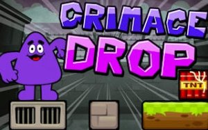Block Drop Puzzle Challenge