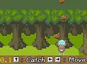 Acorn Dash: Pixel Catch